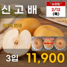 신고배 3입