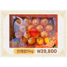 [선물세트]천혜향 5kg/1상자(금색보자기포장)