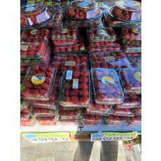 🍓설향딸기 1팩+1팩+1팩 세일!!🍓