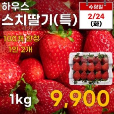 하우스 스치딸기(특) 1kg