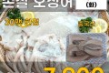 냉동 손질오징어 3마리