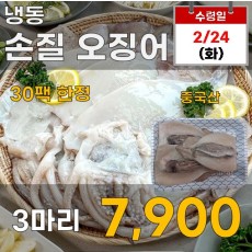 냉동 손질오징어 3마리