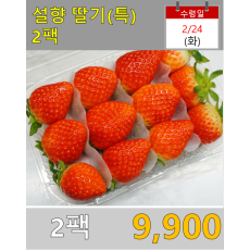 설향딸기 (특) 2팩