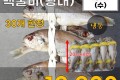 추자도 백굴비 10마리