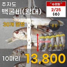 추자도 백굴비 10마리