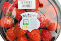 🍓금귀봉 '왕'딸기 1다라/500g🍓