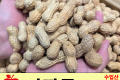 피땅콩 / 수입산 1봉 (330g)