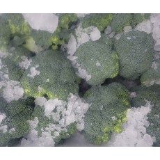 🥦[수입]브로콜리 1송이🥦