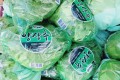 🥬[국산]양상추 1봉🥬