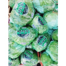 🥬[국산]양상추 1봉🥬