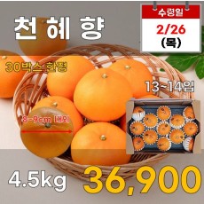 천혜향 4.5kg