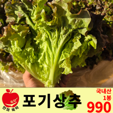 포기상추 / 국내산 1봉 990원 / 2봉 1500원