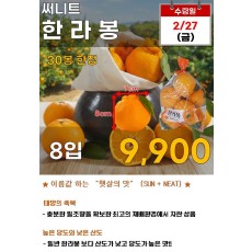 써니트 한라봉 8입