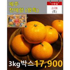 제주 천혜향(왕특) 3kg 박스
