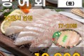 국내산 광어회