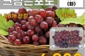 씨없는 크림슨포도 900g