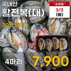 국내산 활전복(대) 4마리