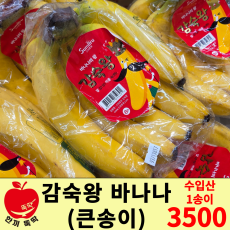 감숙왕 바나나 (큰송이) / 수입산