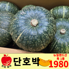 단호박 / 뉴질랜드산 특대 1통
