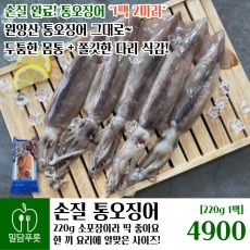 손질통오징어 [25입/박스]