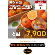 퓨어스펙 고당도 오렌지 6입