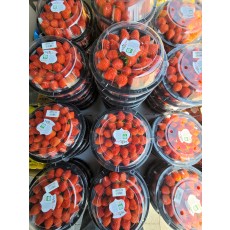 🍓[거창]금귀봉딸기 🔥3다라🔥🍓