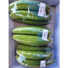 🥒[국산]백오이(특) 5개/1팩🥒