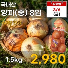 국내산 양파(중) 1.5kg