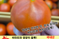 완숙 토마토 / 국내산 1팩(8개)