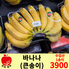 바나나 큰송이 / 수입산 1송이