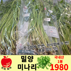 밀양 미나리 / 국내산 1봉
