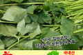 참나물 / 국내산 1팩 (250g)
