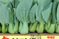 청경채 / 국내산 1봉(380g내외)