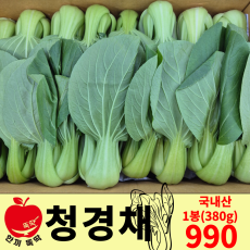 청경채 / 국내산 1봉(380g내외)