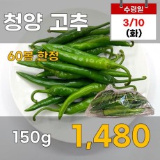 청양고추 150g