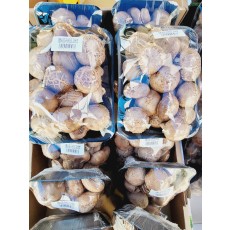 🍄[국산]표고버섯 1팩(300g내외)