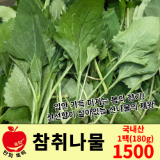 참취나물 / 국내산