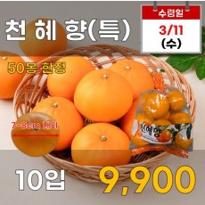 천혜향(특) 10입