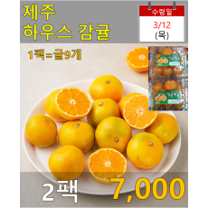 하우스 감귤 2팩