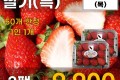 하우스 딸기(특) 2팩