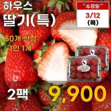 하우스 딸기(특) 2팩