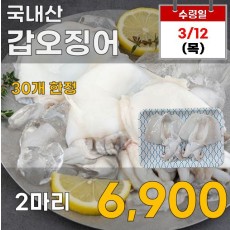 국내산 갑오징어 2마리