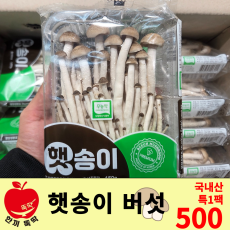 햇송이 버섯 / 국내산 특 1팩