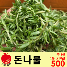 돈나물 / 국내산 1봉 (250g)
