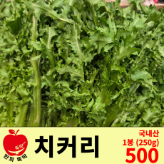 치커리 / 국내산 1봉 (250g)