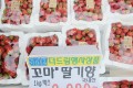 🍓[거창]꼬마딸기향 1kg/1상자