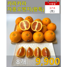 카라카라 자몽오렌지(왕특) 8개
