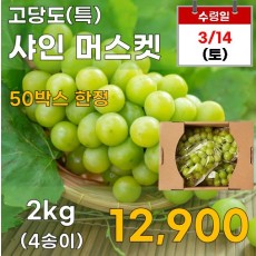 샤인머스켓(4수) 2kg