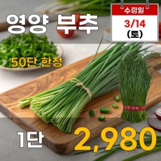 영양 부추 1단