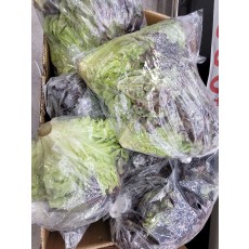 🥬[국산]포기상추 1봉